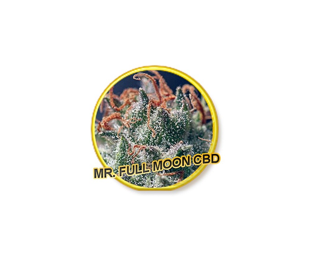 MR. FULL MOON CBD