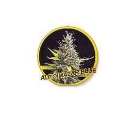 AUTO MAZAR BLUE