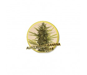 AUTO BLACK BANANA