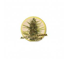 Auto Black Banana - Mr. Hide Seeds
