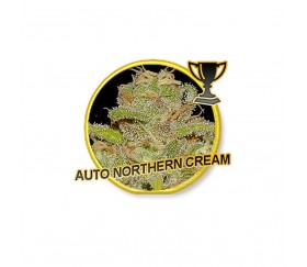 Auto Northern Cream - Mr. Hide Seeds