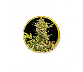AUTO AMNESIA