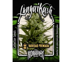 LANGUI KUSH