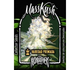 MASSKUSH