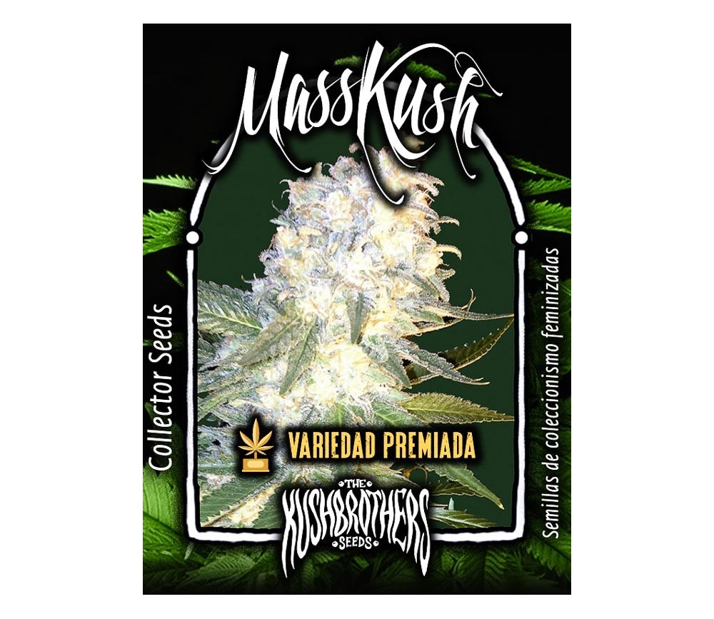 Masskush - The Kush Brothers