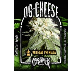 OG Cheese - The Kush Brothers