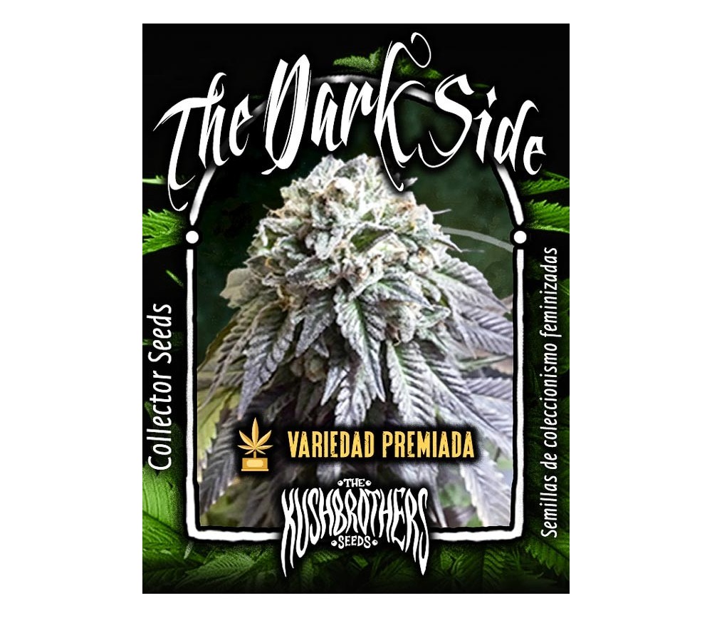 The Dark Side - The Kush Brothers
