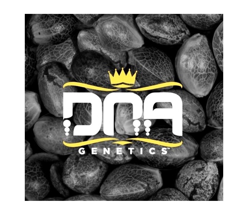 Reserva Privada Mix Pack Regular - DNA Genetics