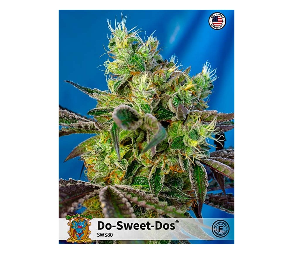 Do-Sweet-Dos - Sweet Seeds