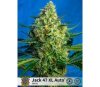 Jack 47 XL Auto - Sweet Seeds