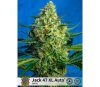 JACK 47 XL AUTO