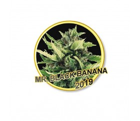 MR. BLACK BANANA