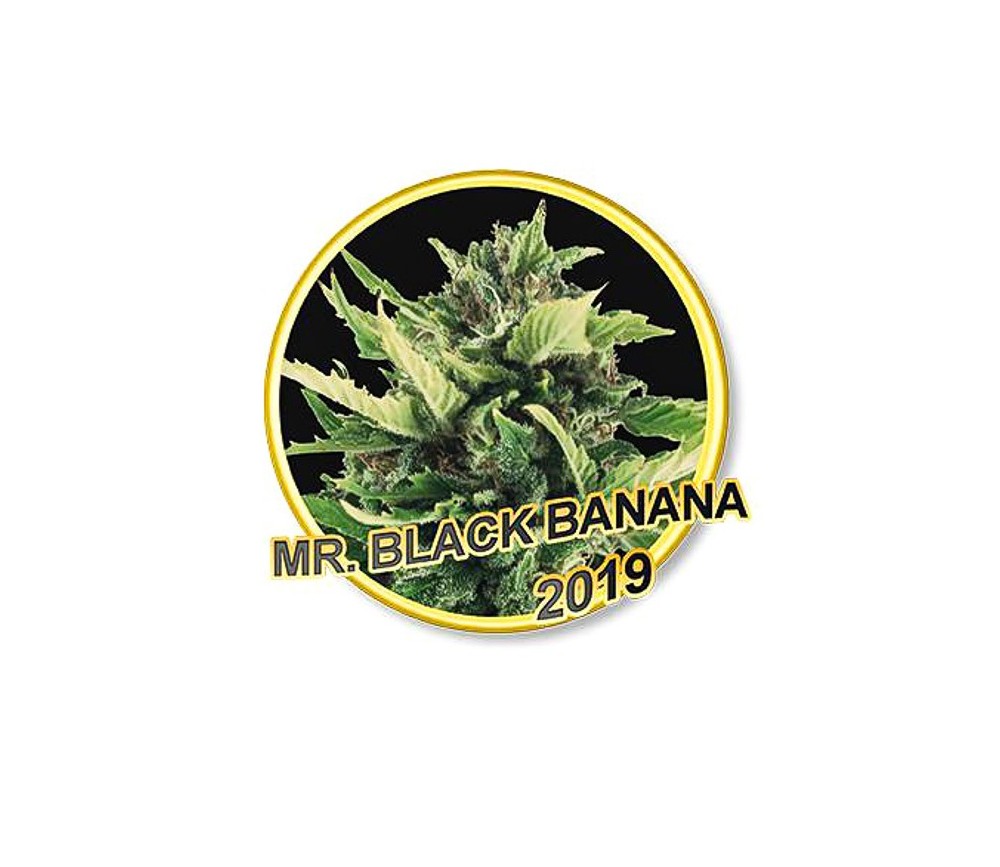 MRr. Black Banana - Mr. Hide Seeds