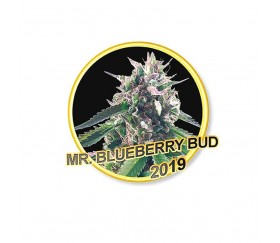 Mr. Blueberry Bud - Mr. Hide Seeds