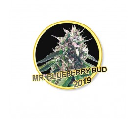 MR. BLUEBERRY BUD