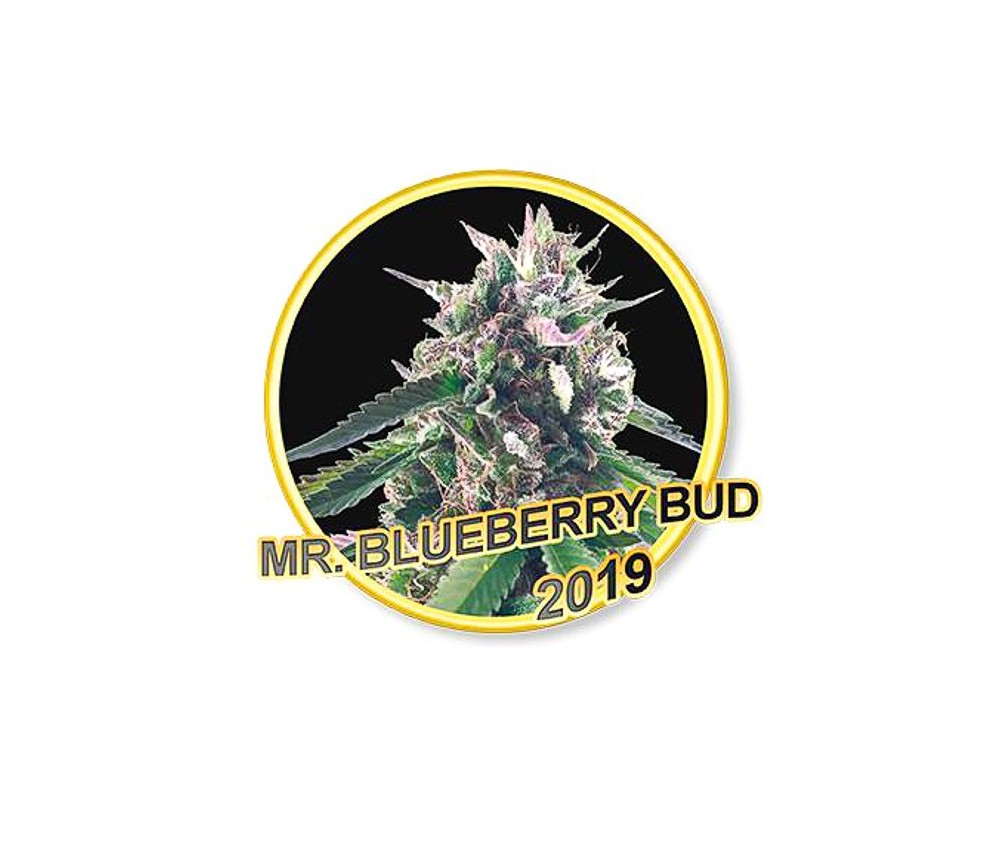 Mr. Blueberry Bud - Mr. Hide Seeds