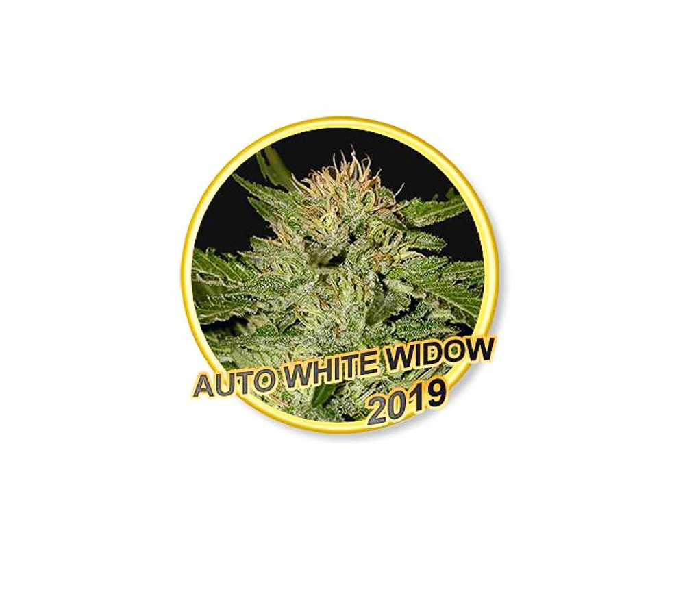 Auto White Widow - Mr. Hide Seeds