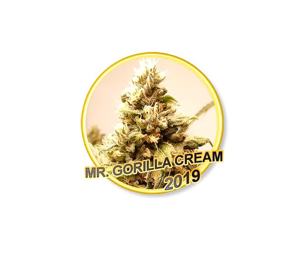 MR. GORILLA CREAM