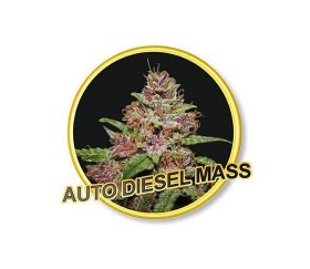 AUTO DIESEL MASS