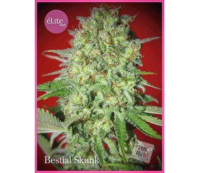 BESTIAL SKUNK