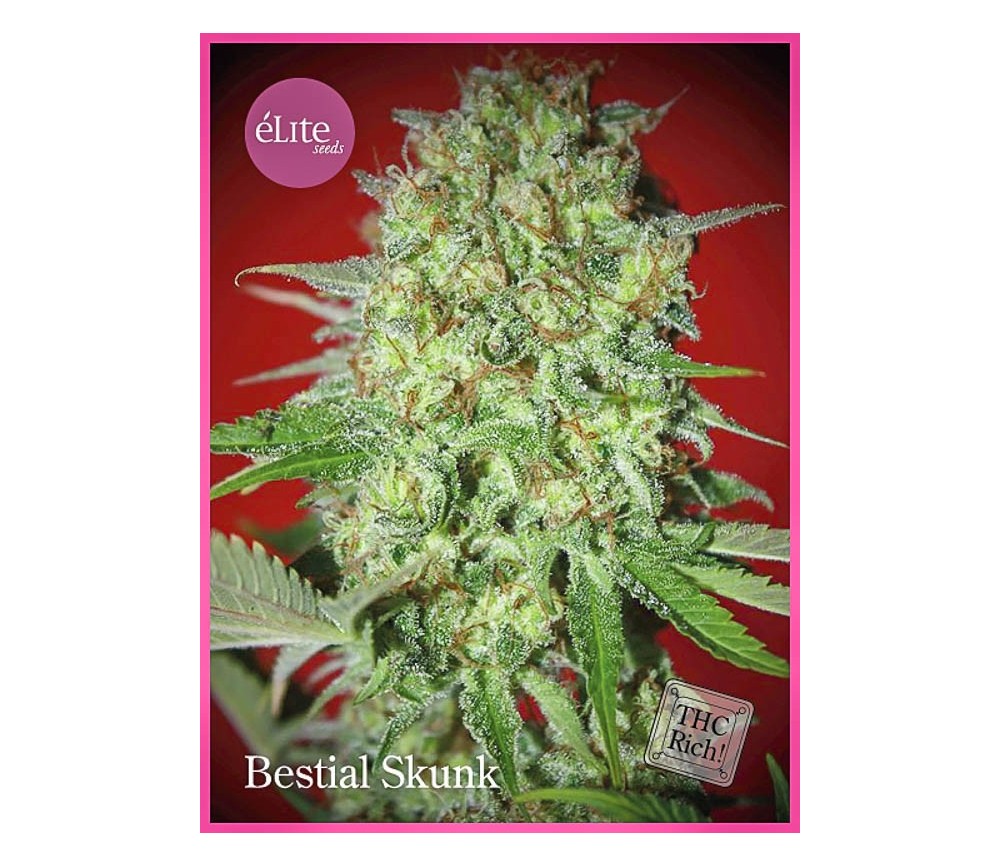 BESTIAL SKUNK