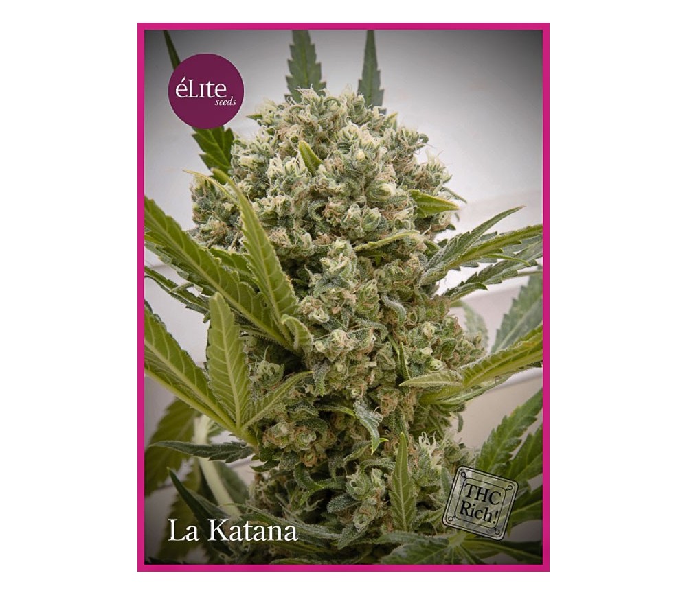 La Katana - Élite Seeds