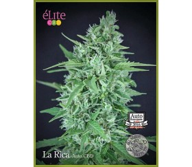 La Rica Auto CBD - Élite Seeds  