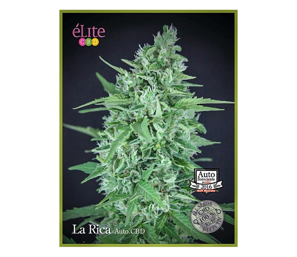 La Rica Auto CBD - Élite Seeds  