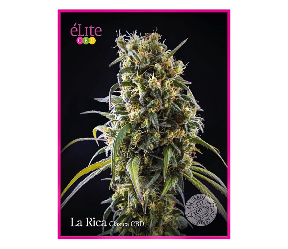 La Rica Clásica CBD - Élite Seeds
