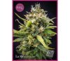 La Rica Clásica THC - Élite Seeds