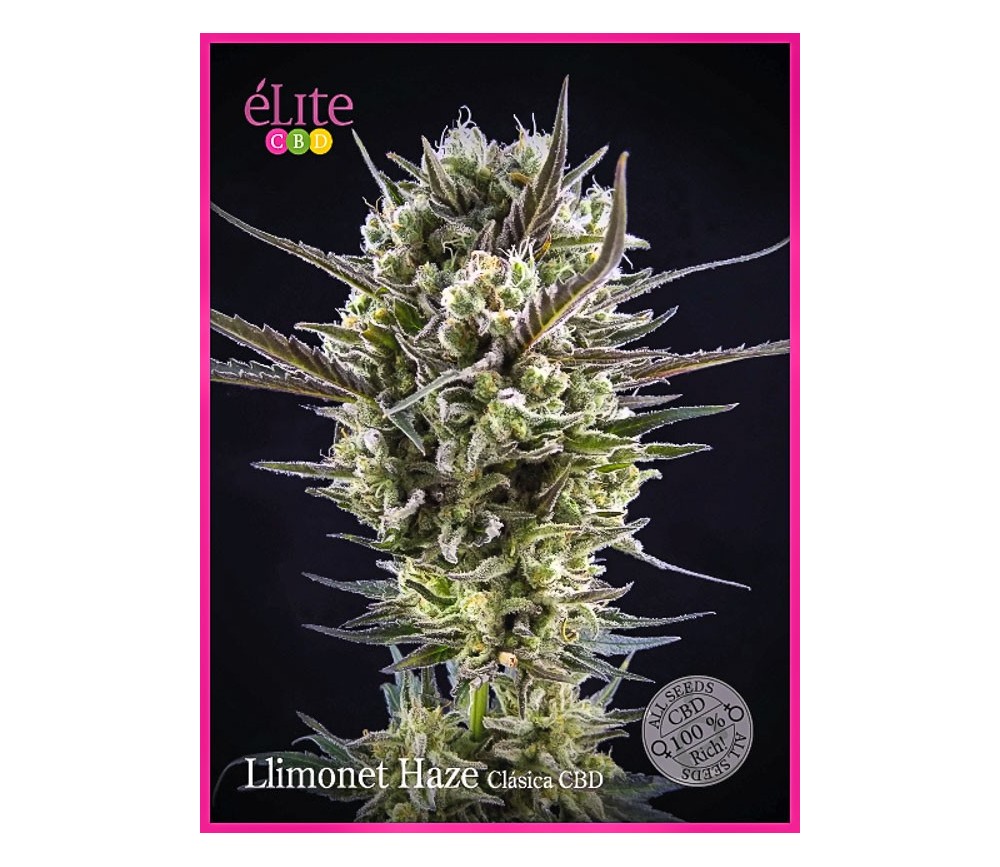 LLimonet Haze Clásica CBD - Élite Seeds