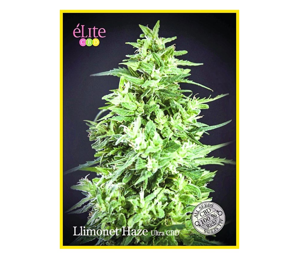 LLimonet Haze Ultra CBD - Élite Seeds