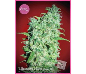 LLimonet Haze Clásica THC - Élite Seeds