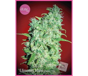 LLIMONET HAZE CLASICA THC