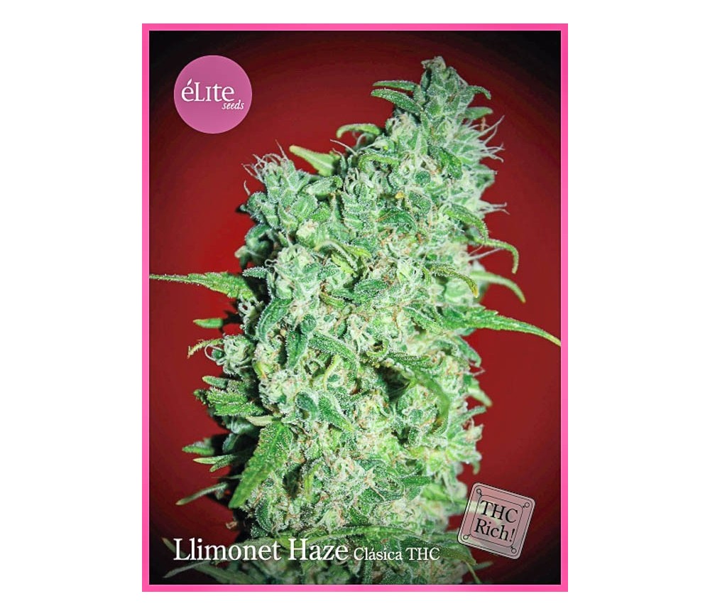 LLimonet Haze Clásica THC - Élite Seeds