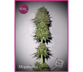 Meganuska - Elite Seeds