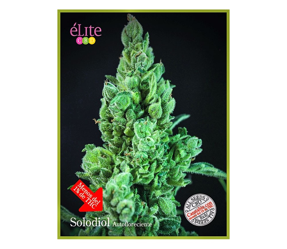Solodiol Autofloreciente - Élite Seeds