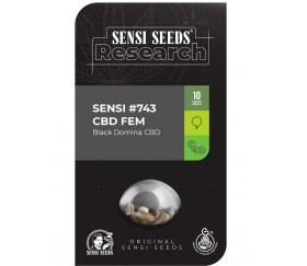 Satin Black Domina CBD - Sensi Research