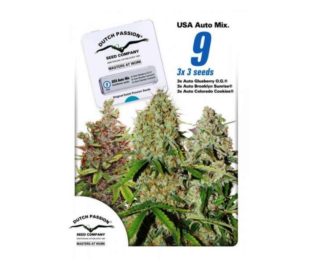 USA Autoflower Mix - Dutch Passion Seeds