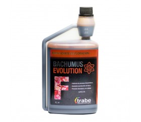BACHUNUS EVOLUTION FLORACION