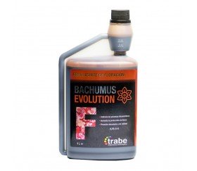 BACHUNUS EVOLUTION FLORACION