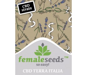 Terra Italia CBD - Female Seeds 