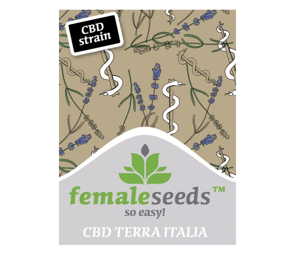 Terra Italia CBD - Female Seeds 