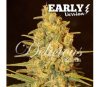 Critical Sensi Star Early Version - Delicious Seeds