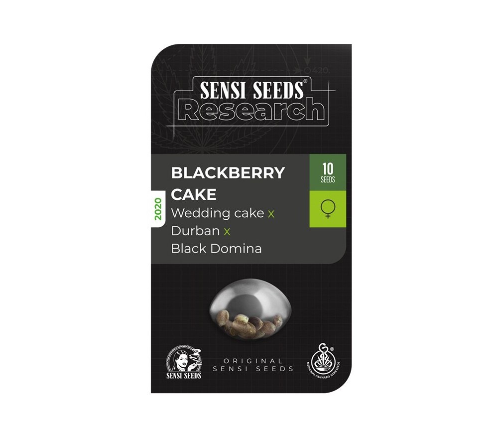 Gâteau aux mûres - Sensi Seeds