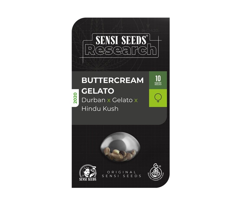 Buttercream Gelato - Sensi Seeds