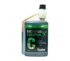 BACHUMUS-EVOLUTION-CRECIMIENTO