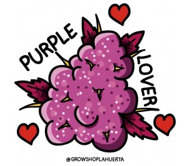 PURPLE LOVER STICKER