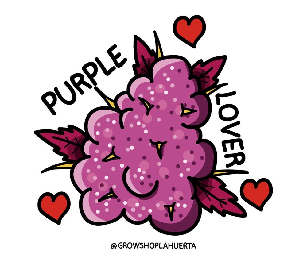 PURPLE LOVER STICKER