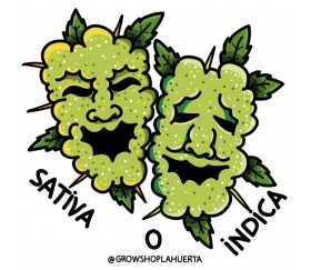 SATIVA INDICA STICKER